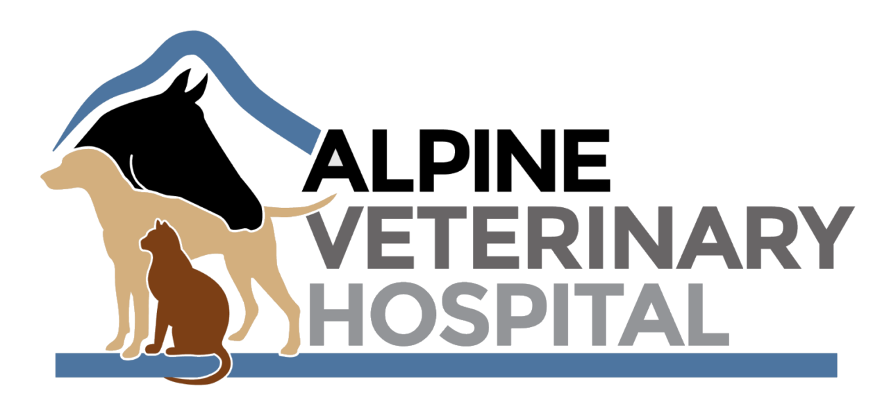 Best Vet Hospital In Hood River OR Alpine Vet Hospital best-vet-hospital-in-hood-river-or-alpine-vet-hospital