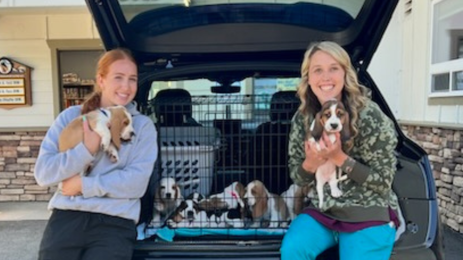 Hood River, OR Veterinary Jobs Alpine Veterinary Hospital